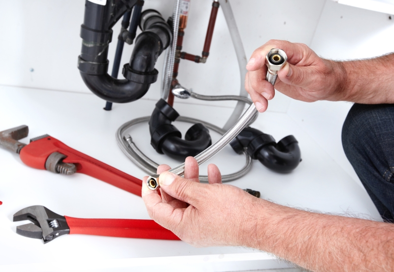 Toilet repair being carried out in West Ealing